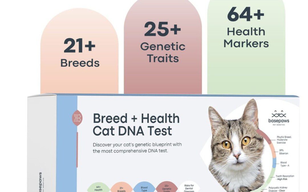 40% off Cat DNA Test Kit